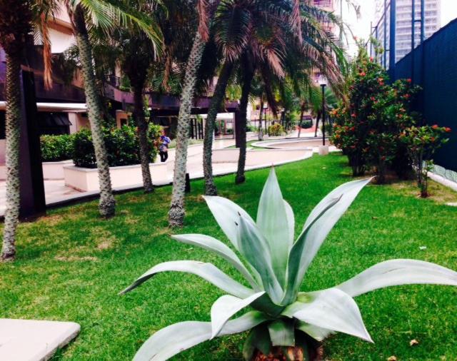 Lindo Apartamento Na Barra Da Tijuca Río de Janeiro
